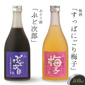 【ふるさと納税】飛騨の地酒で造ったにごり梅酒「すっぱにごり梅子」と山ぶどう酒「ぶど次郎」　有限会社舩坂酒造店　FB005