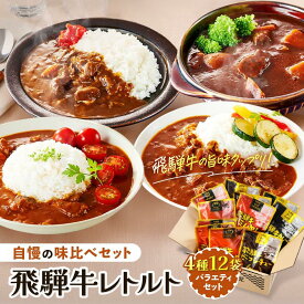 【ふるさと納税】訳あり 飛騨牛レトルト4種12袋！　バラエティセット ビーフカレー トマトカレー ビーフシチュー デミハヤシ レトルト 12袋 ふるさと清見21　DC002 | 食品 加工食品 人気 おすすめ 送料無料