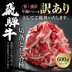 【ふるさと納税】訳あり 飛騨牛 切落とし 600gブランド牛 切り落とし 薄切り 【飛騨高山ミート MZ011】 | 肉 お肉 にく 食品 飛騨牛 人気 おすすめ 送料無料 ギフト