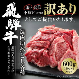 【ふるさと納税】訳あり 飛騨牛 焼肉 切落とし 600g（150g×4パック）使い勝手の良い 小分け 冷凍真空パック【飛騨高山ミート MZ014】 | 肉 お肉 にく 食品 飛騨牛 人気 おすすめ 送料無料 ギフト