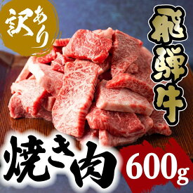 【ふるさと納税】訳あり 飛騨牛焼肉切落し 600g ≪冷凍 / 日付指定不可≫ | 発送月が選べる 牛肉 飛騨牛 焼肉 不揃い 高評価 人気 おすすめ 飛騨高山 肉の匠家 TR3341