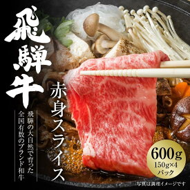 【ふるさと納税】飛騨牛 赤身スライス（すき焼き/しゃぶしゃぶ）600g 使い勝手の良い 小分け 冷凍真空パック【飛騨高山ミート MZ003】