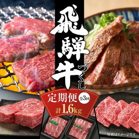 【ふるさと納税】【定期便】飛騨牛（全3回）（ステーキ /焼肉 / ブロック[塊] ) 計1.6kg 全3回 | 焼肉 ステーキ カルビ 牛 定期 【飛騨高山ミート MZ101】