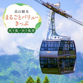 【ふるさと納税】【高山観光】まるごとバリューきっぷ 大人1名、小人1名分（バス＋新穂高ロープウェイ乗車券）| 乗車券 割引 特典 旅行 観光 チケット 飛騨高山 濃飛バス 濃飛乗合自動車(株) CA001