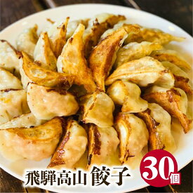 【ふるさと納税】高山餃子 30個入り お試しパック ＜ 生冷凍餃子 ・ 簡易包装 ＞ ぎょうざ ギョーザ 冷凍 冷凍餃子 簡易包装 業務用 惣菜 ニラ 豚肉 大容量 FN003