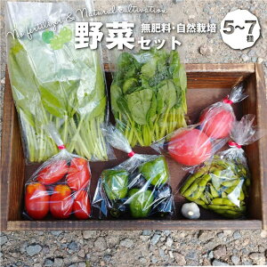 【ふるさと納税】【数量限定】無肥料 自然栽培 野菜セット 5〜7種 | やさい 野菜詰合せ 秋野菜 産地直送 詰合せ セット 新鮮野菜 飛騨高山 amrita農園 KM001