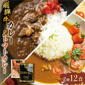 【ふるさと納税】【発送時期が選べる】飛騨牛カレー (8袋) 飛騨牛トマトカレー (4袋) | 常温配送 10,000円 訳あり 飛騨牛 肉 牛 カレー ビーフカレー 簡易包装 レトルトカレー トマトカレー ご当地カレー 人気 おすすめ 便利 飛騨高山 ふるさと清見 DC004VP