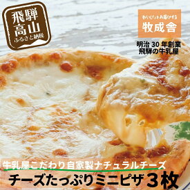 【ふるさと納税】【寄附額見直しました！】＜牧成舎＞ 自家製チーズたっぷり ミニピザ 3枚セット | ピザ 牧場 チーズ おいしい 手軽 簡単調理 ご褒美 牧場 DF009