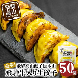 【ふるさと納税】豪華！ 飛騨餃子 ファミリーパック 50個入り ＜ 生冷凍餃子 ・ 簡易包装 ＞ ぎょうざ ギョーザ 冷凍 冷凍餃子 飛騨高山 業務用 大容量 ニラ 飛騨牛 お取り寄せ 酒 つまみ FN004