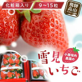 【ふるさと納税】【2026年先行予約】大粒 雪見いちご 1箱（9-15粒／化粧箱入り）| 糖度が高くてほどよい酸味 数量限定 イチゴ フルーツ 果物 いちご 品種おまかせ（紅かおり／山天王／他品種）飛騨高山 小屋垣内農園 JA001