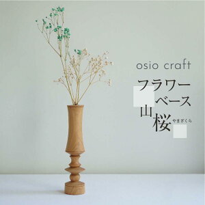 yӂ邳Ɣ[Łzt[x[X R ؐt[x[X ֑} ؐ ؍Hi IVINtg osio craft KR002