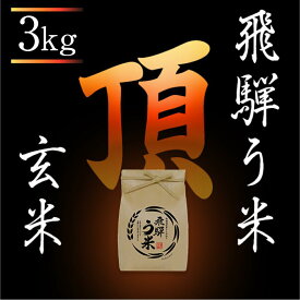 【ふるさと納税】【数量限定】令和7年産 飛騨う米『頂』玄米3kg | 有機肥料 100％ 米コン3年連続特別優秀賞受賞 米 コシヒカリ こしひかり 飛騨高山 株式会社拳 GW006