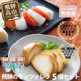 【ふるさと納税】【寄附額見直しました！】＜牧成舎＞ご当地チーズグランプリ 最高金賞受賞 飛騨の牛乳屋のこだわりモッツァレラ 2種セット（5個入り） DF015