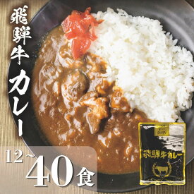 【ふるさと納税】訳あり 飛騨牛カレー (12袋、25袋、40袋) | 常温配送 10,000円 訳あり 簡易包装 飛騨牛 肉 牛 カレー ビーフカレー レトルトカレー レトルト 惣菜 ご当地カレー 人気 時短 即席 備蓄 おすすめ 便利 飛騨高山 ふるさと清見 DC006VP