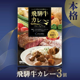 【ふるさと納税】【数が選べる】本格飛騨牛レトルトカレー 230g×3個～10個 | 飛騨牛 レトルトカレー 贅沢 カレー 本格 中辛 ビーフカレー 便利 簡単調理 高山市 飛騨高山 15000円 フローラ EY001MP