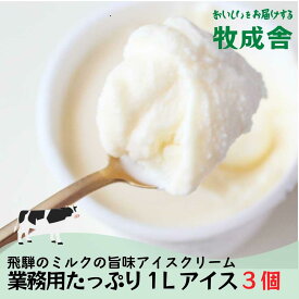 【ふるさと納税】飛騨の牛乳屋 牧成舎 ミルクの旨味たっぷり 業務用 1L アイスクリーム 3種 合計3L アイス 冷菓 お菓子 おかし おやつ 乳製品 ギフト プレゼント バレンタイン ホワイトデー 母の日 牧成舎 DF007