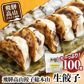 【ふるさと納税】飛騨高山餃子 餃子 100個入り ＜ 生冷凍餃子 ＞ ぎょうざ ギョーザ 冷凍 冷凍餃子 簡易包装 業務用 惣菜 ニラ 豚肉 大容量 FN002