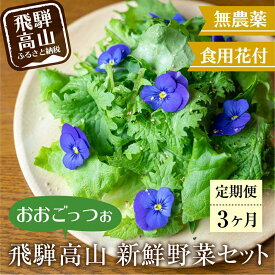 【ふるさと納税】【定期便3回】飛騨高山野菜『おおごっつぉ』詰合せ 葉物野菜 葉物 ミックスリーフ わさびな フラワーサラダ 無農薬野菜 無農薬 HS101