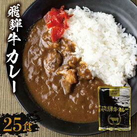 【ふるさと納税】飛騨牛カレー (25袋) | 常温配送 訳あり 飛騨牛 肉 牛 カレー ビーフカレー 簡易包装 レトルトカレー ご当地カレー 人気 おすすめ 発送時期が選べる 便利 飛騨高山 ふるさと清見 DC008VP