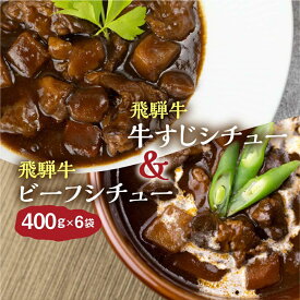 【ふるさと納税】飛騨牛シチュー＆飛騨牛牛すじシチュー（400g × 各3袋） | 極旨 ビーフシチュー 牛すじシチュー 飛騨牛 飛騨清見ソース 具材ゴロゴロ 飛騨牛 おいしい おすすめ レトルト 野菜 ふるさと清見 DC017