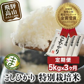【ふるさと納税】（全3回）【定期便 3ヶ月】飛騨こしひかり 5kg コシヒカリ 特別栽培米 岐阜県産 令和8年産 新米 | コシヒカリ 特別栽培米 飛騨高山 まんま農場 LT100