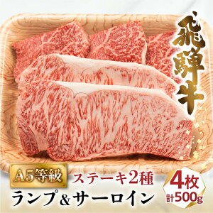 yӂ邳Ɣ[Łzˋ A5 Xe[L 2 Hה 500g v4 ( v 100g×3 T[C 200g×1 ) o[xL[ Lv