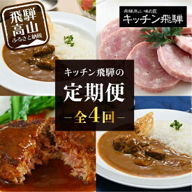 【ふるさと納税】【定期便】人気のお肉レトルト商品詰め合わせ 全4回お届け | キッチン飛騨 4カ月 定期 カレー ハムセット ハンバーグ 缶詰 食品 冷凍 ビーフ ポーク カレー ビーフシチュー ハヤシビーフ 飛騨牛 老舗 名店 飛騨高山 飛騨ハム CQ100