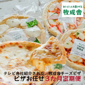【ふるさと納税】ピザ 定期便 3ヶ月 おまかせ セット 合計 9枚以上 ( マルゲリータ 和風山椒味 カレー 洋風トマト味 季節限定品 ) セレクト 岐阜 高山市 飛騨高山 岐阜県 | 自家製 送料無料 お取り寄せ 人気 お楽しみ おすすめ 冷凍