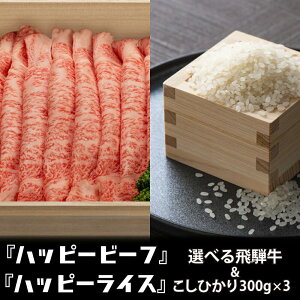 yӂ邳Ɣ[Łz i300g×3j  ˋ (300-500g) Ђ RVqJ A4 A5 uh j ̂ l nbs[vX ˍR JQ028