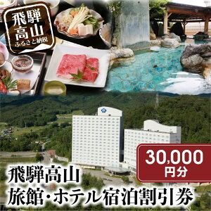 【ふるさと納税】飛騨高山 旅館ホテル宿泊割引券 30,000円分 旅館ホテル協同組合加盟施設限定宿泊割引券(※Webでの予約はできません)| 割引券 チケット 旅行 宿泊 飛騨高山旅館ホテル協同