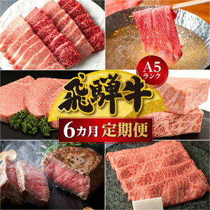 yӂ邳Ɣ[Łzy6z A5N ˋ  2.6kg(360gȏ×6)  ( ē Ă Ԃ Xe[L [X q T[C  o ) | Hה A5 lC y