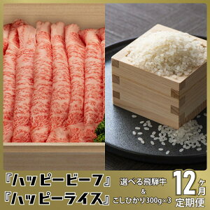 yӂ邳Ɣ[ŁzĂƔˋyցz 12 Ђ RVqJ A5 uh 12 j ̂ l nbs[vX ˍR JQ102 y