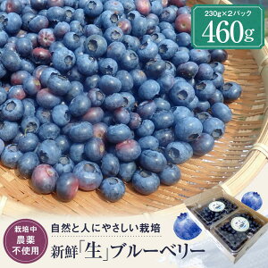 yӂ邳Ɣ[Łzy2026Nstzt@[̖knCubVu[x[uʎv230g×2pbN i͔|_sgpj| u[x[ ʕ ʎ n t[c 10000~ t@