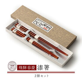 【ふるさと納税】飛騨春慶 漆箸2膳セット | お箸 ペア セット 弁当 工芸品 飛騨高山 手作り ギフト 飛騨高山 元田漆器株式会社 NA009 | クラフト 民芸 人気 おすすめ 送料無料