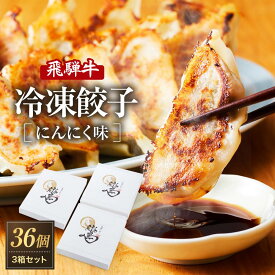 【ふるさと納税】飛騨牛冷凍餃子 3箱セット（にんにく味）| 餃子の合計はたっぷり36個！ おいしく焼ける調理説明書付き 餃子 飛騨牛 おいしい 簡単 人気 飛騨高山 餃子工房らん NL003 | 食品 おかず 加工食品 中華総菜 人気 おすすめ 送料無料
