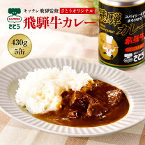 楽天市場】キッチン飛騨 カレー 缶の通販