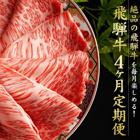 【ふるさと納税】満喫飛騨牛4ヶ月定期便（全4回）牛肉 しゃぶしゃぶ すき焼き ステーキ 切り落とし 飛騨牛のこもり FC104