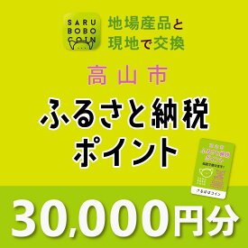 【ふるさと納税】高山市ふるさと納税ポイント 30,000pt【飛騨信用組合 SB006】