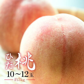 【ふるさと納税】【数量限定】ひだ桃 10～12玉 3kg前後 箱詰め 桃 もも フルーツ 果物 8月中旬～順次発送 飛騨高山 産地直送 期間限定 飛騨もも ひだ桃源郷 CN010