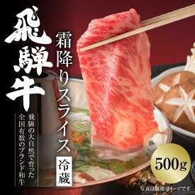 【ふるさと納税】【冷蔵】飛騨牛 霜降りスライス（すき焼き/しゃぶしゃぶ）500g 真空パック | 牛肉 肉 和牛 霜降り スライス 鍋 お鍋 飛騨高山ミート MZ033