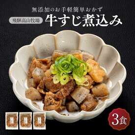 【ふるさと納税】国産 牛すじ煮込み 3食 | 化学調味料無添加 無添加 加工品 手軽 お手軽 おつまみ おかず 丼 個包装 レンジ 湯せん 惣菜 飛騨高山牧場 HG008