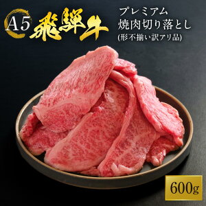 yӂ邳Ɣ[ŁzA5 ˋ v~A ē ؂藎Ƃ 600g |   a јa u[X BBQ Lv  uh 󂠂 s ˍR g HF042 |   ɂ Hi 