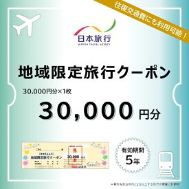 【ふるさと納税】岐阜県高山市　日本旅行　地域限定旅行クーポン30,000円分 | 高山市への旅行に使える割引クーポン 旅行 割引 クーポン チケット 宿泊 飛騨高山 株式会社日本旅行 NU002 | チケット 旅行 宿泊券 ホテル 観光 旅行 旅行券 交通費 体験 宿泊 トラベルクーポン
