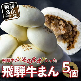 【ふるさと納税】訳あり 飛騨牛まん 5～12個 ／ 選べる定期便 3回・6回 | 肉まん 中華まん にくまん 牛まん 飛騨牛 簡易包装 飛騨高山 惣菜 年内発送 発送時期が選べる 清水弥生堂 GV006MP