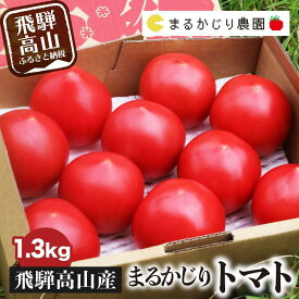 【ふるさと納税】【2026年発送 先行予約】旬の味をお届け！果肉が厚くてみずみずしい 飛騨高山産トマト 『麗月』1.3kg | とまと トマト 産地直送 野菜 飛騨高山 まるかじり農園 FW001VP