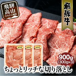 yӂ邳Ɣ[Łzˋ ؂藎Ƃ 300g×3pbNZbg | ݂ Ef Ă Ԃ 󏭕 900g a Y Ⓚ ˍR ˋ̂ FC009VP
