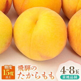 【ふるさと納税】【2026年発送・先行受付】飛騨のたから桃（4-8玉）糖度15度以上 黄桃｜桃 もも おうとう 極上の甘さ 濃厚な甘さ 甘い 贈答 高級 特選 朝採り 飛騨の朝採り桃 朝採れ農家直送 飛騨高山 つむぎ果樹園 GH011