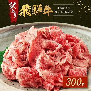 yӂ邳Ɣ[Łz󂠂 ˋĂp ؂藎Ƃ Ԑg300g |   ˋ 傫 s  ؗ Ă Ԑg ˍR ̏ BV029