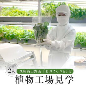 【ふるさと納税】飛騨高山野菜『おおごっつぉ』付植物工場見学（大人2人）| 工場見学 体験学習 長期連休 グリーンリーフ 園芸 チケット 旅行 飛騨高山 株式会社FDS HS003 | 見学 体験 工場見学 野菜 やさい 食品 人気 おすすめ 送料無料