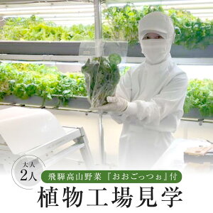 yӂ邳Ɣ[ŁzˍR؁wxtAHꌩwil2lj| Hꌩw ̌wK Ax O[[t | `Pbg s ˍR FDS HS003 | w ̌ Hꌩw
